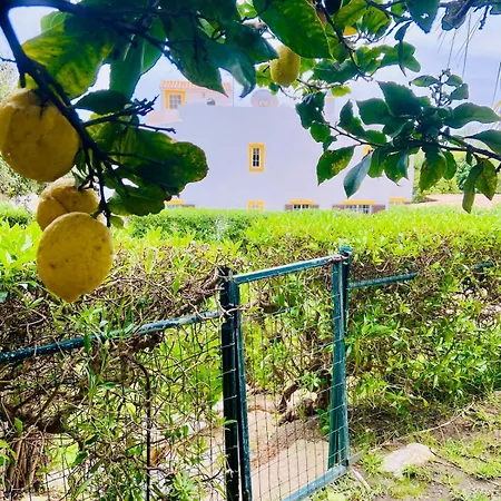 Apartment With Pool 300 Meters From The *
