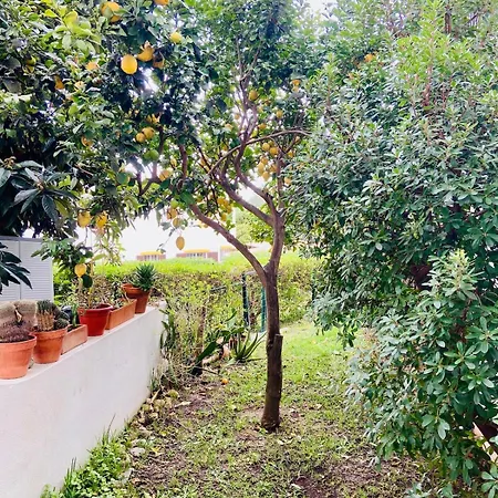 Apartment With Pool 300 Meters From The *
